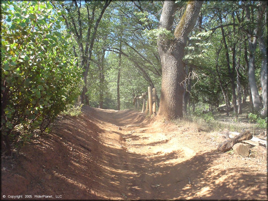 Some terrain at Penny Pines Trail