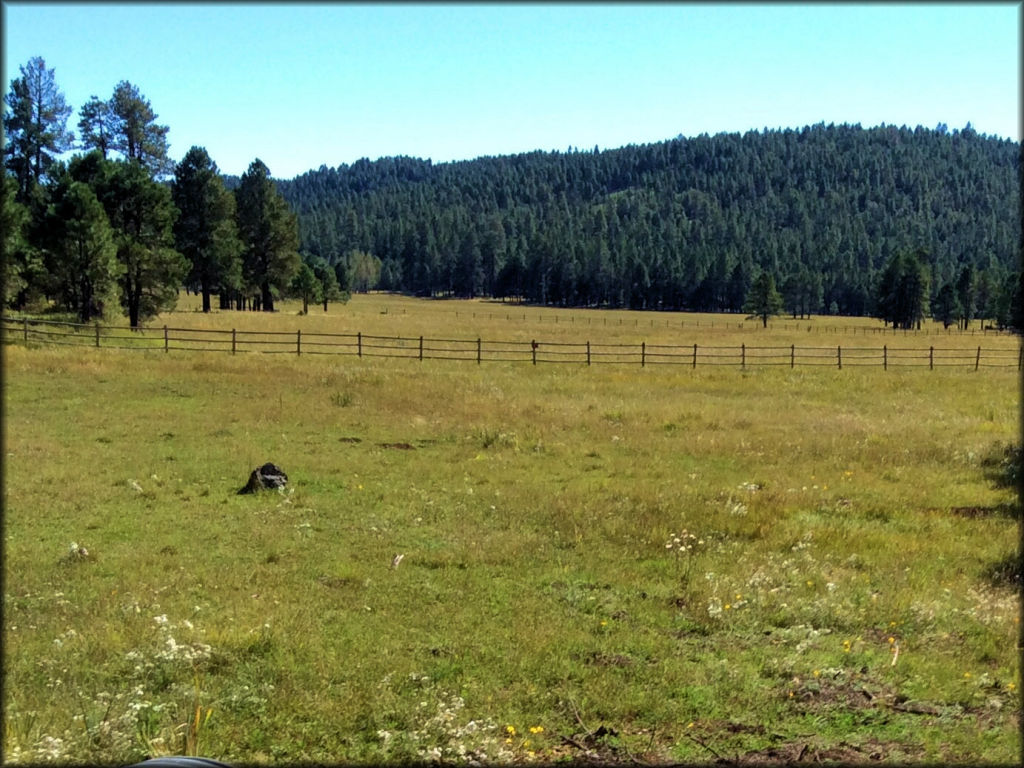 Camp Verde Trails