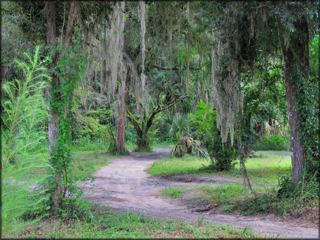 Croom Motorcycle Area Trail