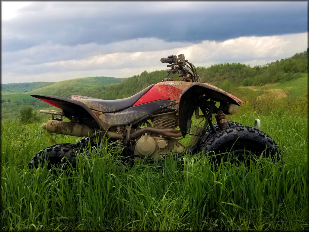 A Honda ATV Sitting in Tall Grass with a Scenic Background