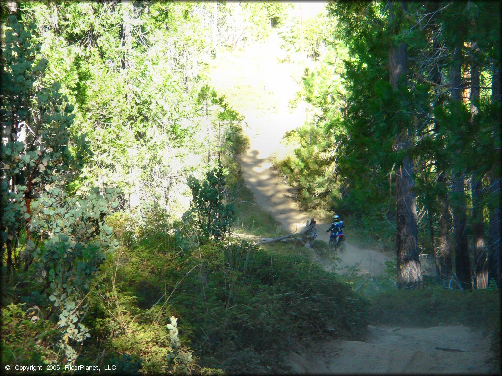 Honda CRF Motorcycle at Miami Creek OHV Area Trail
