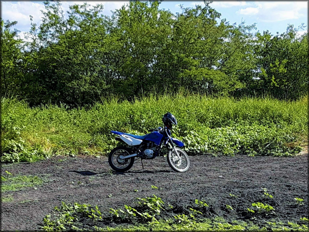 Brushy Creek Motor Farm OHV Area