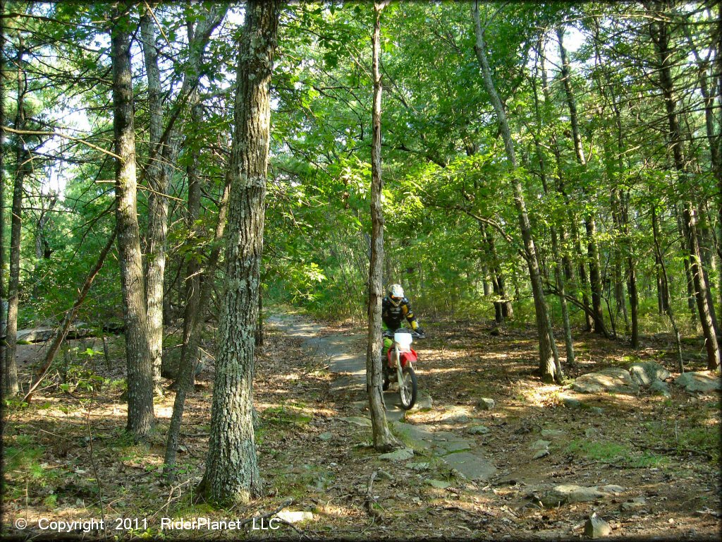 OHV at F. Gilbert Hills State Forest Trail