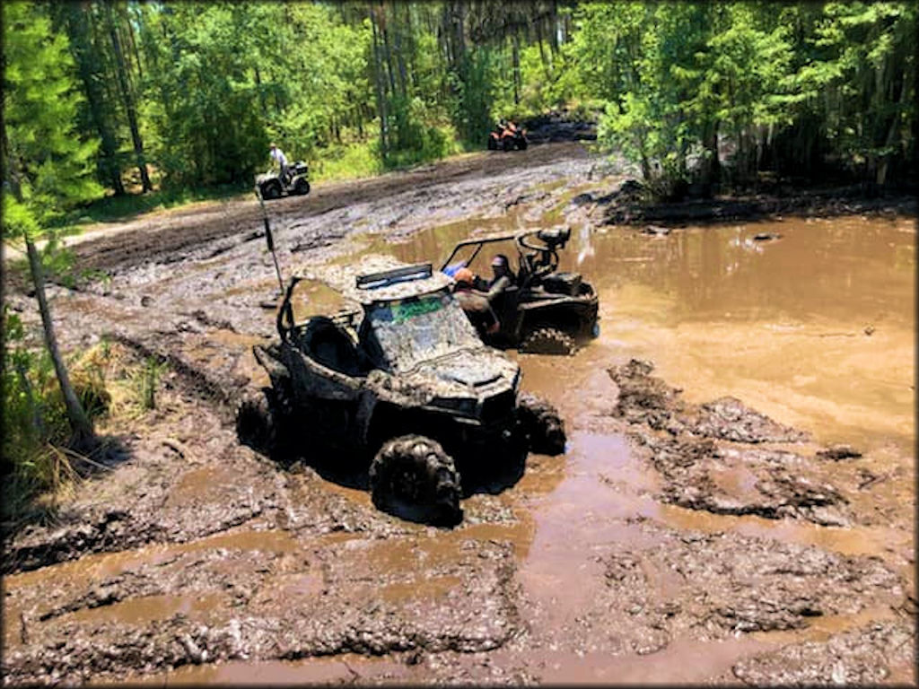 Graveyard Mud Bog Trail