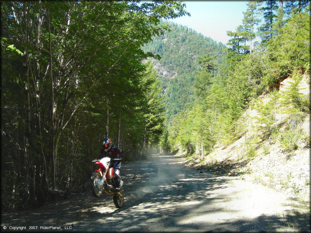 Honda CRF Dirt Bike doing a wheelie at Rattlesnake Ridge Area Trail