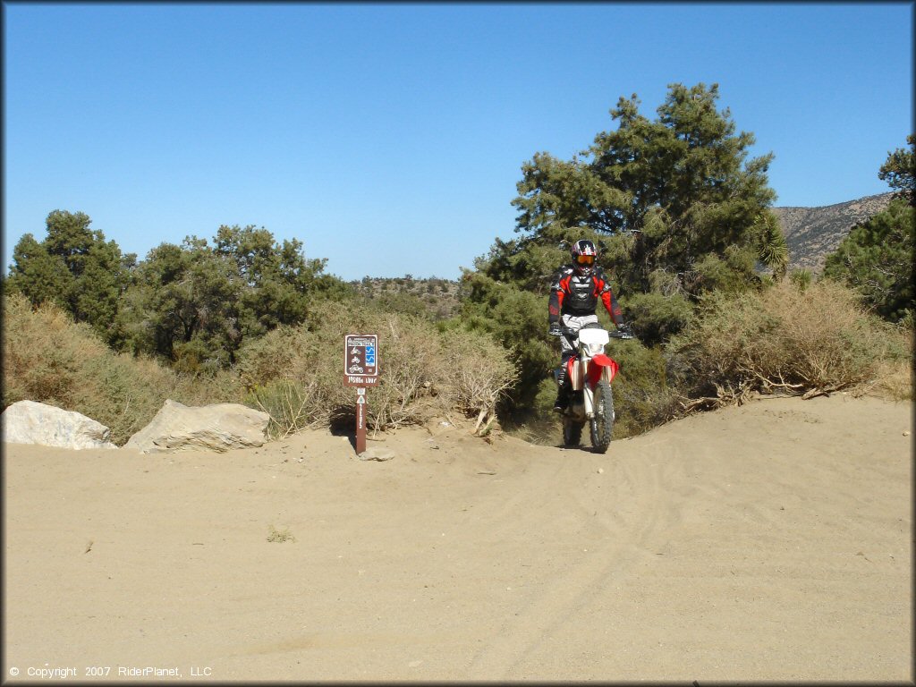 Man exiting amatuer ATV trail on Honda CRF250.