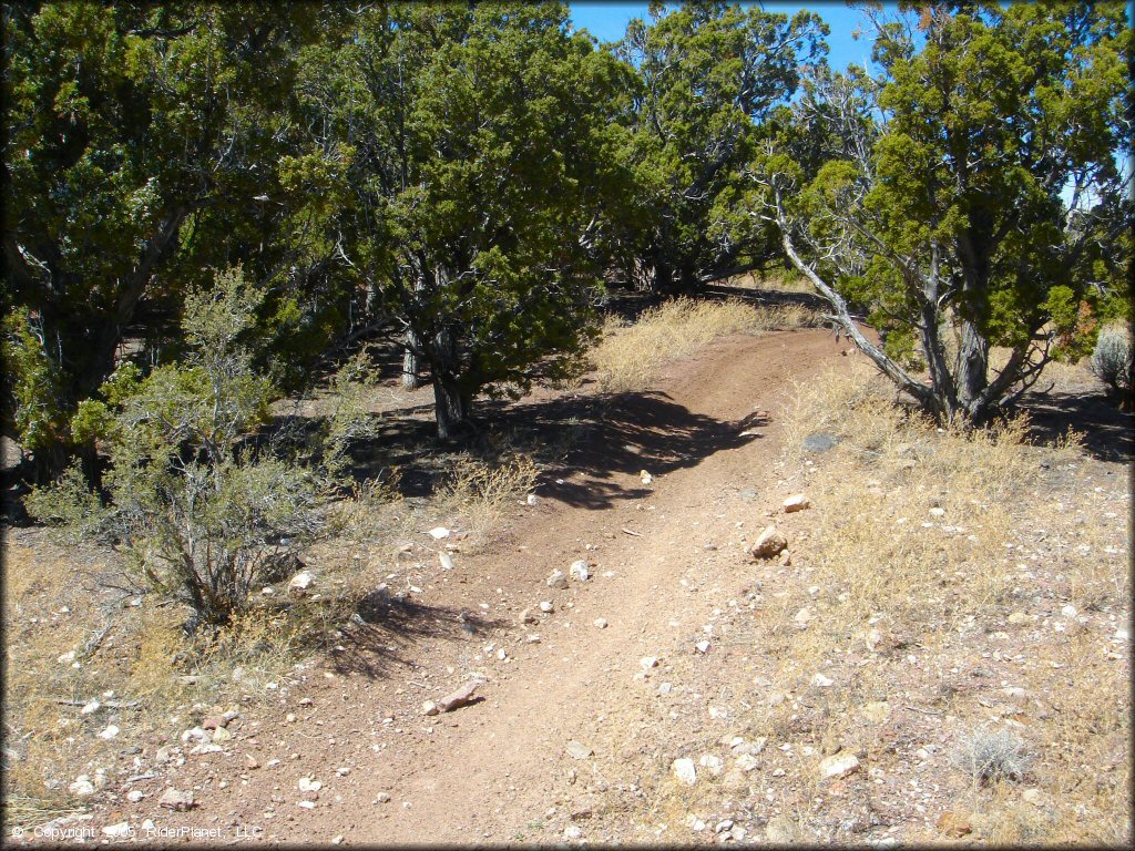 A trail at Chief Mountain OHV Area Trail