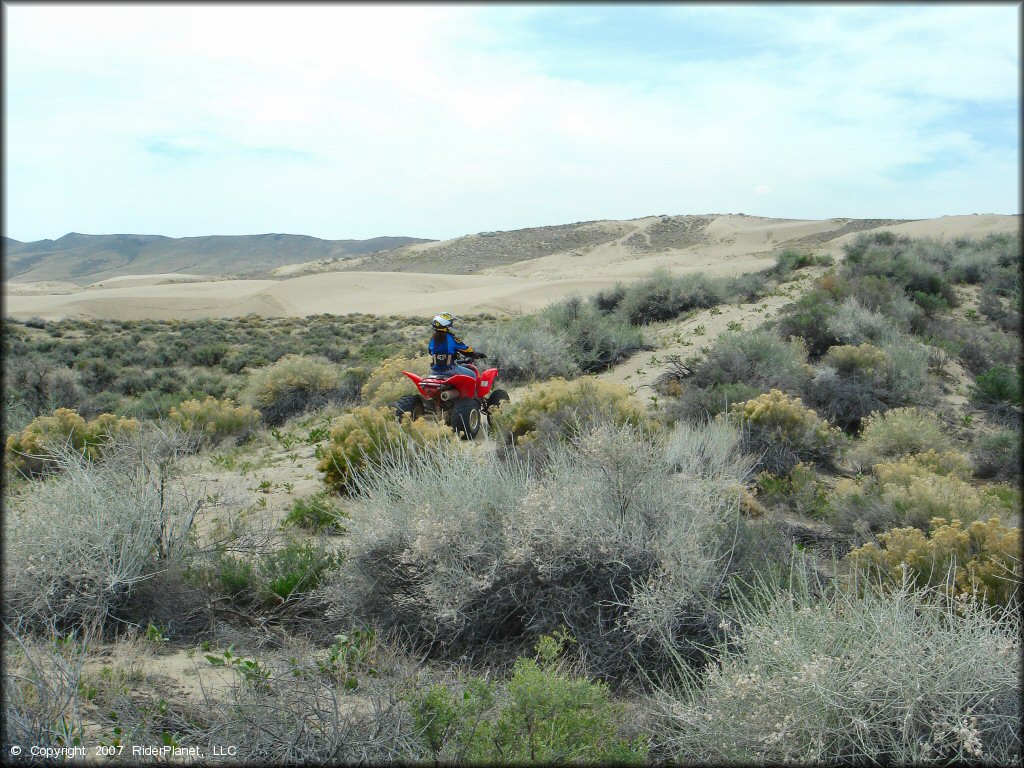 OHV at Winnemucca Sand Dunes OHV Area