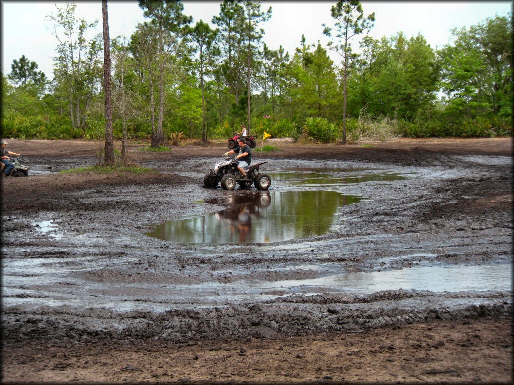 Hog Waller Mud Bog and ATV Park Trail