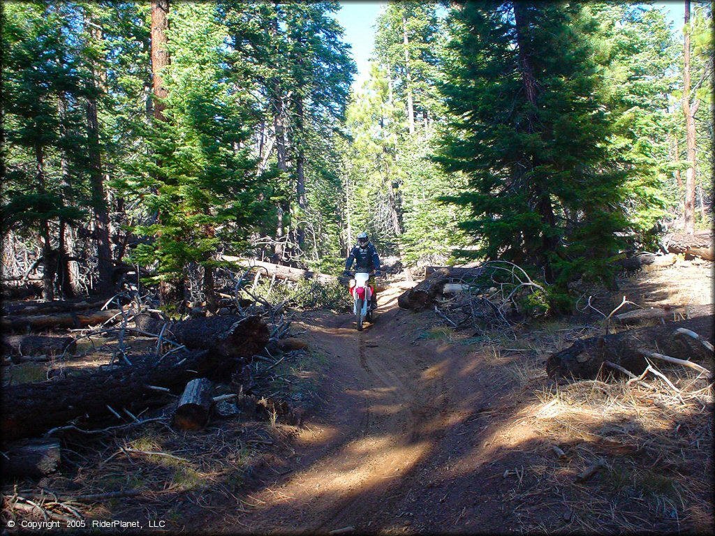 Honda CRF Dirtbike at Genoa Peak Trail