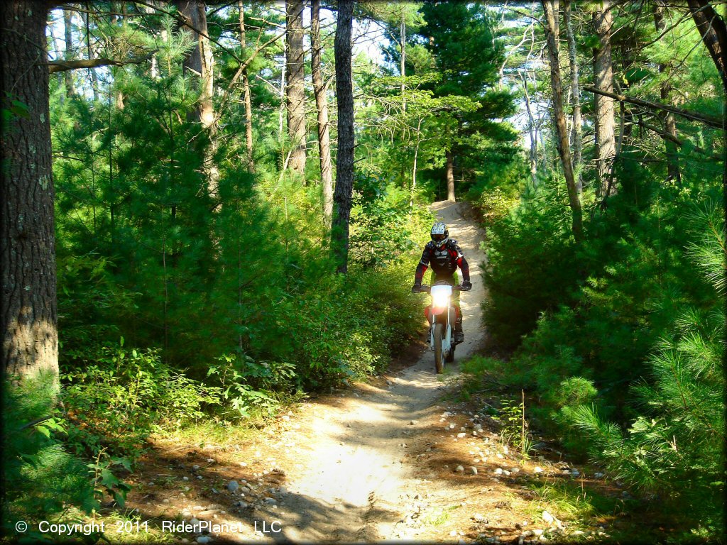 Honda CRF Dirt Bike at Freetown-Fall River State Forest Trail