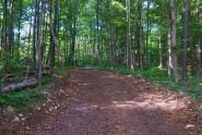 Trail Photo