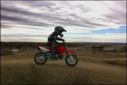 Trail Photo