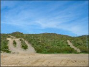 Trail Photo