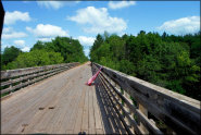 Trail Photo
